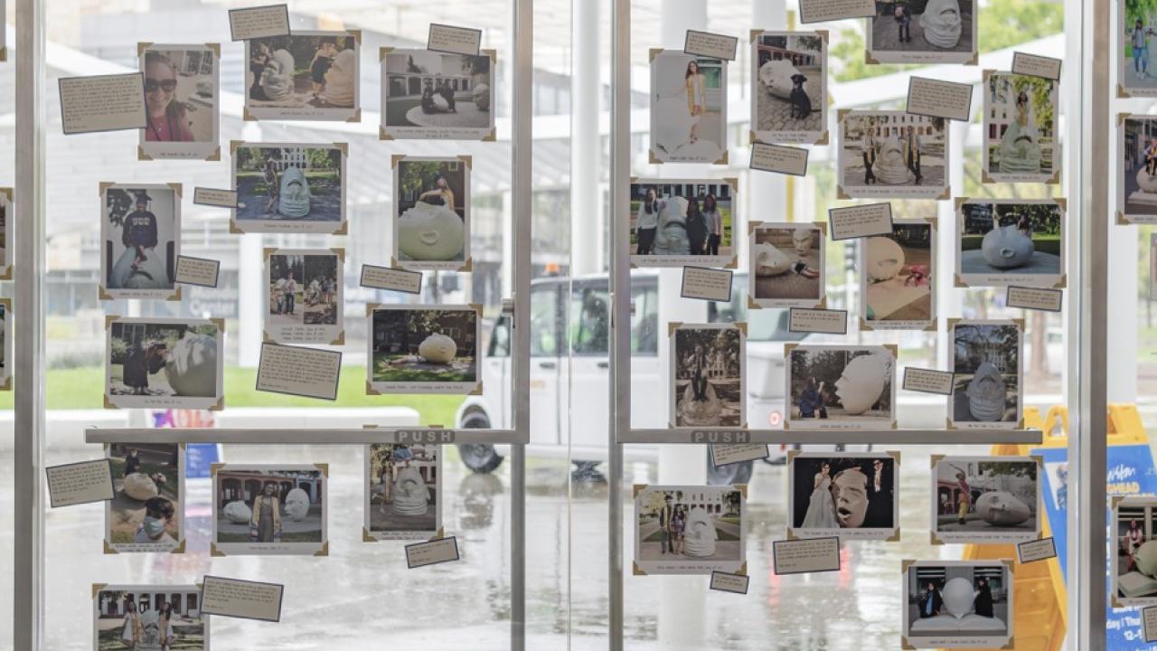 The glass facade and front doors of the Manetti Shrem Museum feature "Sunnyside Up,"