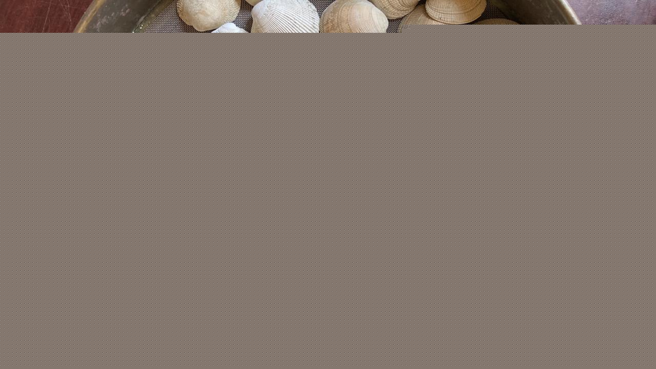 Clams on platter next to pencil