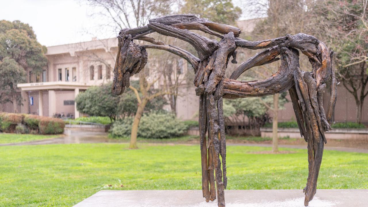 Wooden horse sculpture in a grassy area on the UC Davis campus