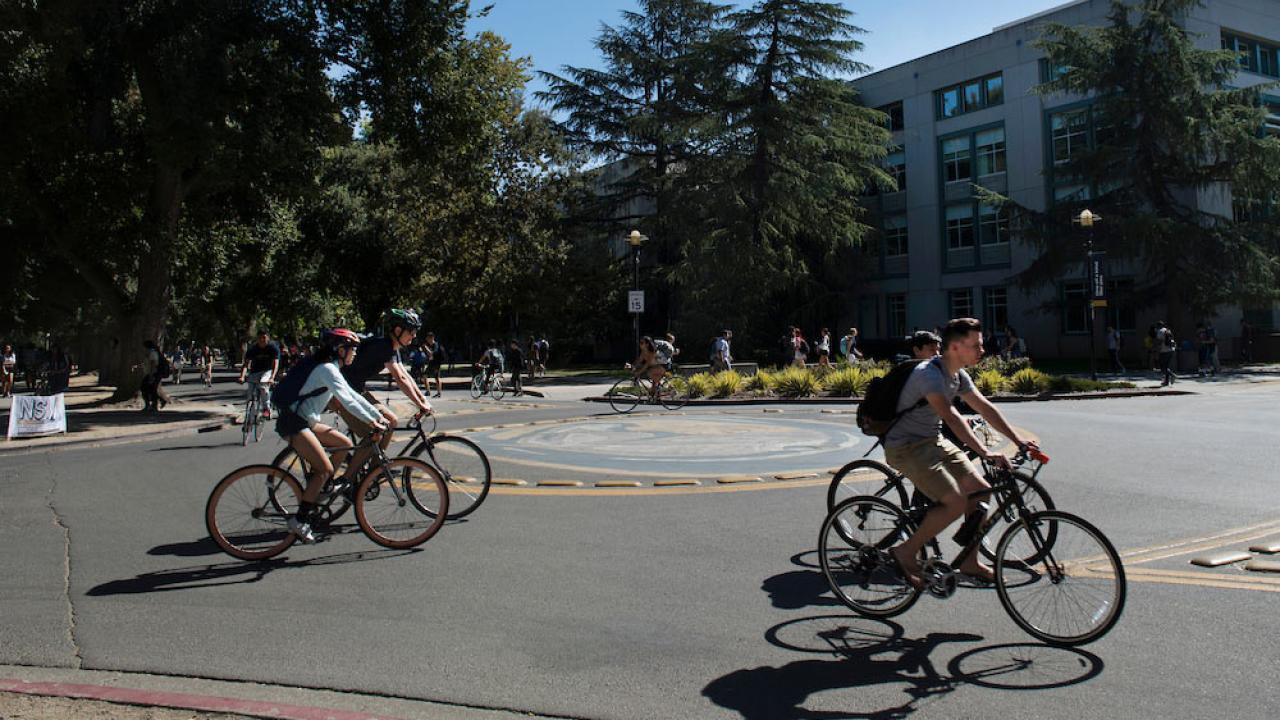 Students ride through a bike circle on the UC Davis campus