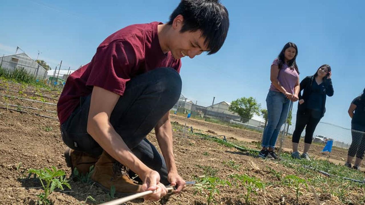 student working in a field while other students watch