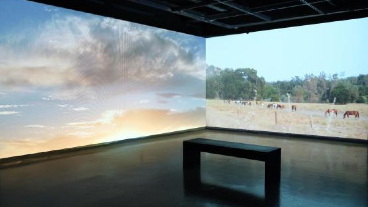 Sonic Horizons showing projection of nature on walls, 2024 (Maral Salehian)