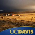 Photo graphic: iTunes album cover with rural farmland