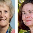 Photos (2): Alison Van Eenennaam and Shermain Hardesty