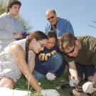 Bob Kimsey, middle top, looks on as students in one of his forensic entomology classes collect specimens from a pig carcass. The team is learning how to make visual inspections and collect temperature data and how to collect insect specimens fro