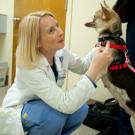 Woman crouching and pointing to a dog without a top jaw