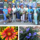 Photos (3): Arboretum volunteers in front of "Nature's Gallery"; close-ups of Ruellia tweediana "Katie" and Gaillardia X grandiflora "Arizona Sun"