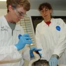 UC Davis veterinarian and oil-spill expert  Michael Ziccardi, left, examines an oiled grebe at the UC Davis oiled-bird rescue center in San Pedro. At right is Tamar Danufsky, director of an oiled-bird rescue center in Humboldt. 