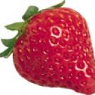 photo of strawberry