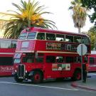 Unitrans buses at Memorial Union Terminal