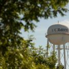 UC Davis water tower framed by greenery