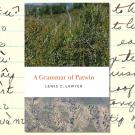 “A Grammar of Patwin,” by UC Davis linguistics alumnus Lewis Lawyer