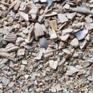 Close-up of crushed white and beige seashell fragments