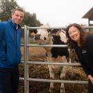 Patrick Seward and Dr. Rhonda Oates flank a cow poking its nose through a pipe fence.