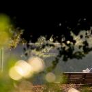 A person sitting on a bench and reading