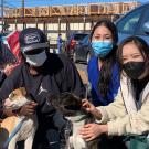 Volunteers present holiuday gift bags to two dogs.