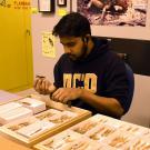 Lohitashwa Garikipati sorts specimen in the Bohart Museum of Entomology at UC Davis
