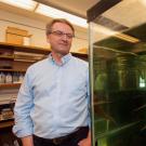 Man in a lab observing a large fish inside a glass aquarium