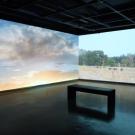 Sonic Horizons showing projection of nature on walls, 2024 (Maral Salehian)