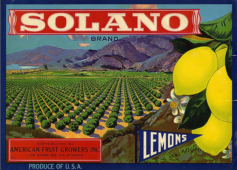  Bucolic drawing of lemon groves and a lemon